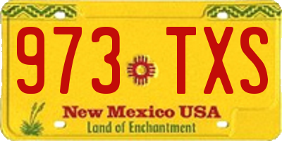 NM license plate 973TXS