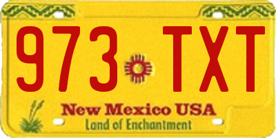 NM license plate 973TXT