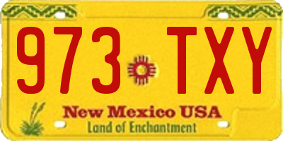 NM license plate 973TXY