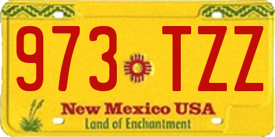 NM license plate 973TZZ