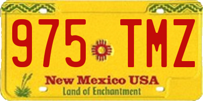NM license plate 975TMZ