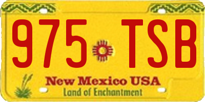 NM license plate 975TSB