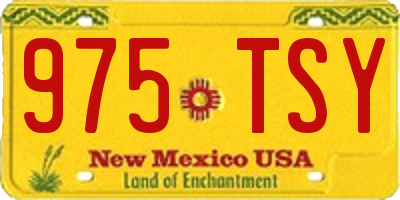 NM license plate 975TSY
