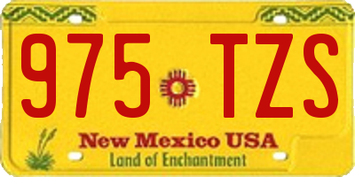 NM license plate 975TZS