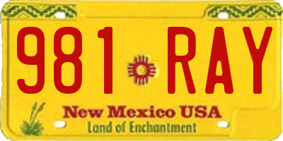 NM license plate 981RAY