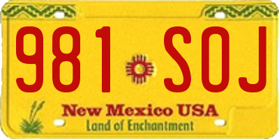 NM license plate 981SOJ