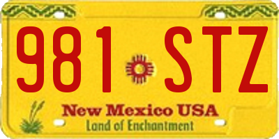 NM license plate 981STZ