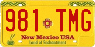 NM license plate 981TMG