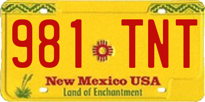 NM license plate 981TNT