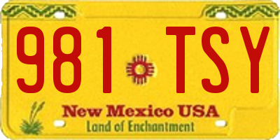 NM license plate 981TSY