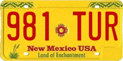 NM license plate 981TUR