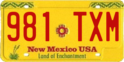 NM license plate 981TXM