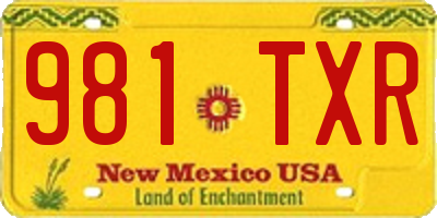 NM license plate 981TXR