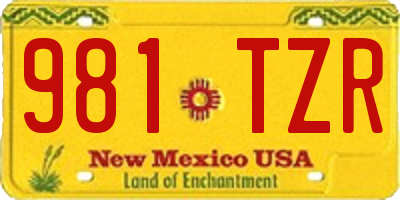 NM license plate 981TZR