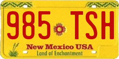 NM license plate 985TSH