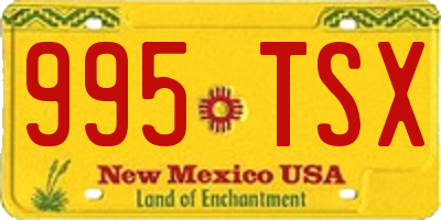 NM license plate 995TSX