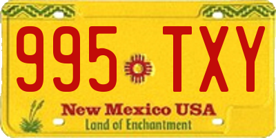 NM license plate 995TXY