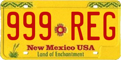 NM license plate 999REG