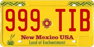 NM license plate 999TIB