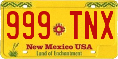 NM license plate 999TNX