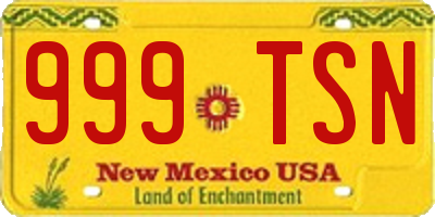 NM license plate 999TSN