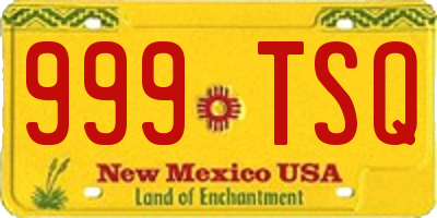 NM license plate 999TSQ