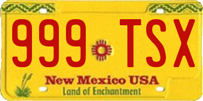 NM license plate 999TSX