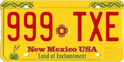 NM license plate 999TXE