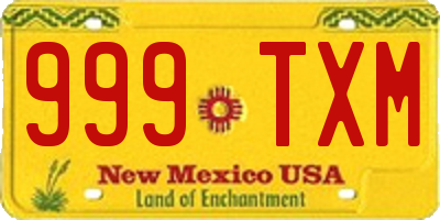 NM license plate 999TXM