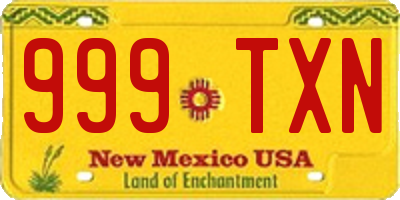 NM license plate 999TXN