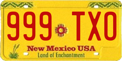 NM license plate 999TXO