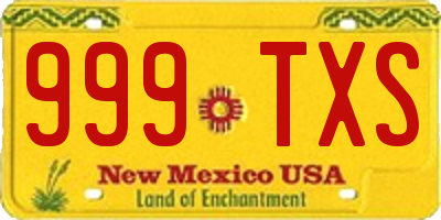 NM license plate 999TXS