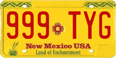 NM license plate 999TYG