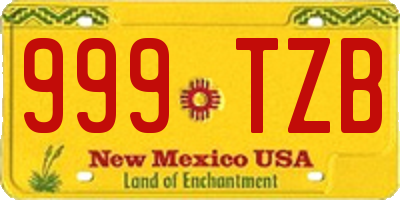 NM license plate 999TZB