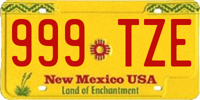 NM license plate 999TZE