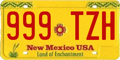 NM license plate 999TZH