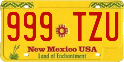 NM license plate 999TZU