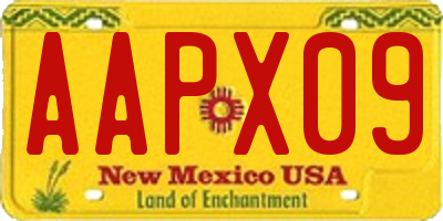 NM license plate AAPX09