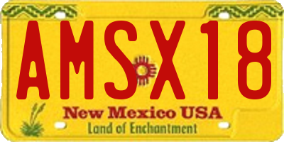 NM license plate AMSX18