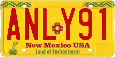 NM license plate ANLY91