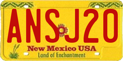 NM license plate ANSJ20