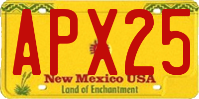 NM license plate APX25