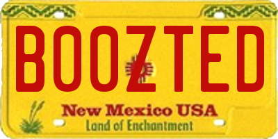 NM license plate B00ZTED