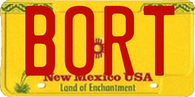 NM license plate BORT