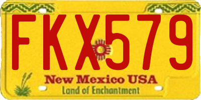 NM license plate FKX579