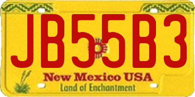 NM license plate JB55B3