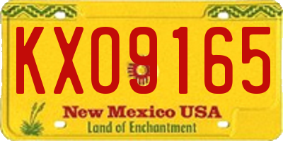 NM license plate KXO9165