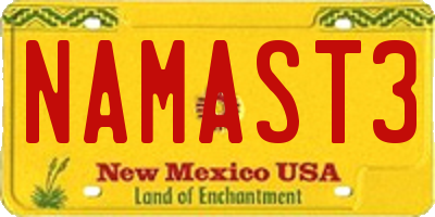 NM license plate NAMAST3