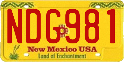 NM license plate NDG981