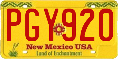 NM license plate PGY920